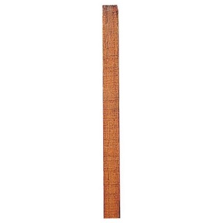 copy of 